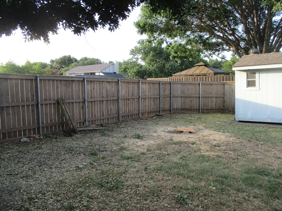 Cleared yard after professional tree removal in Pennsauken